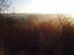 Woodland sunset Woodland sunset